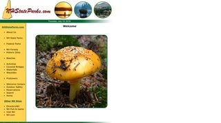 wlt_thumbnail-70218