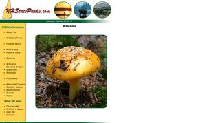 wlt_thumbnail-70221